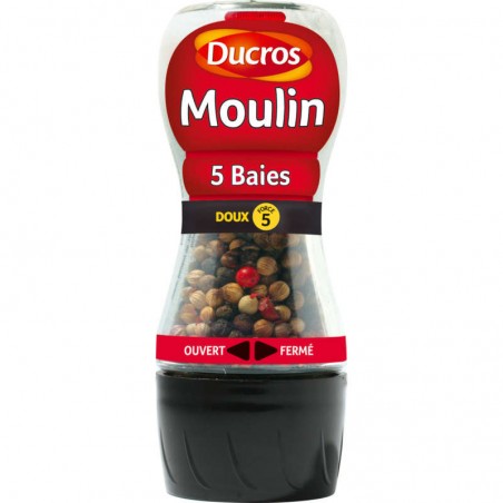 DUCROS Moulin - Mélange 5 Baies - doux 24g